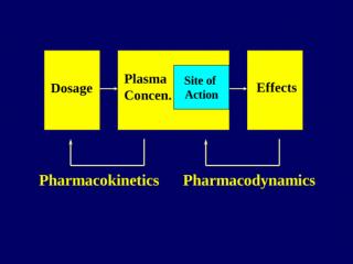 pharmacokinetics-new2.ppt