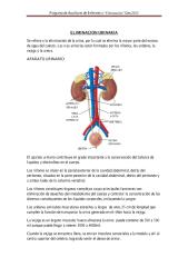 CLASE DE ELIMINACION URINARIA Y DIGESTIVA. - copia.pdf